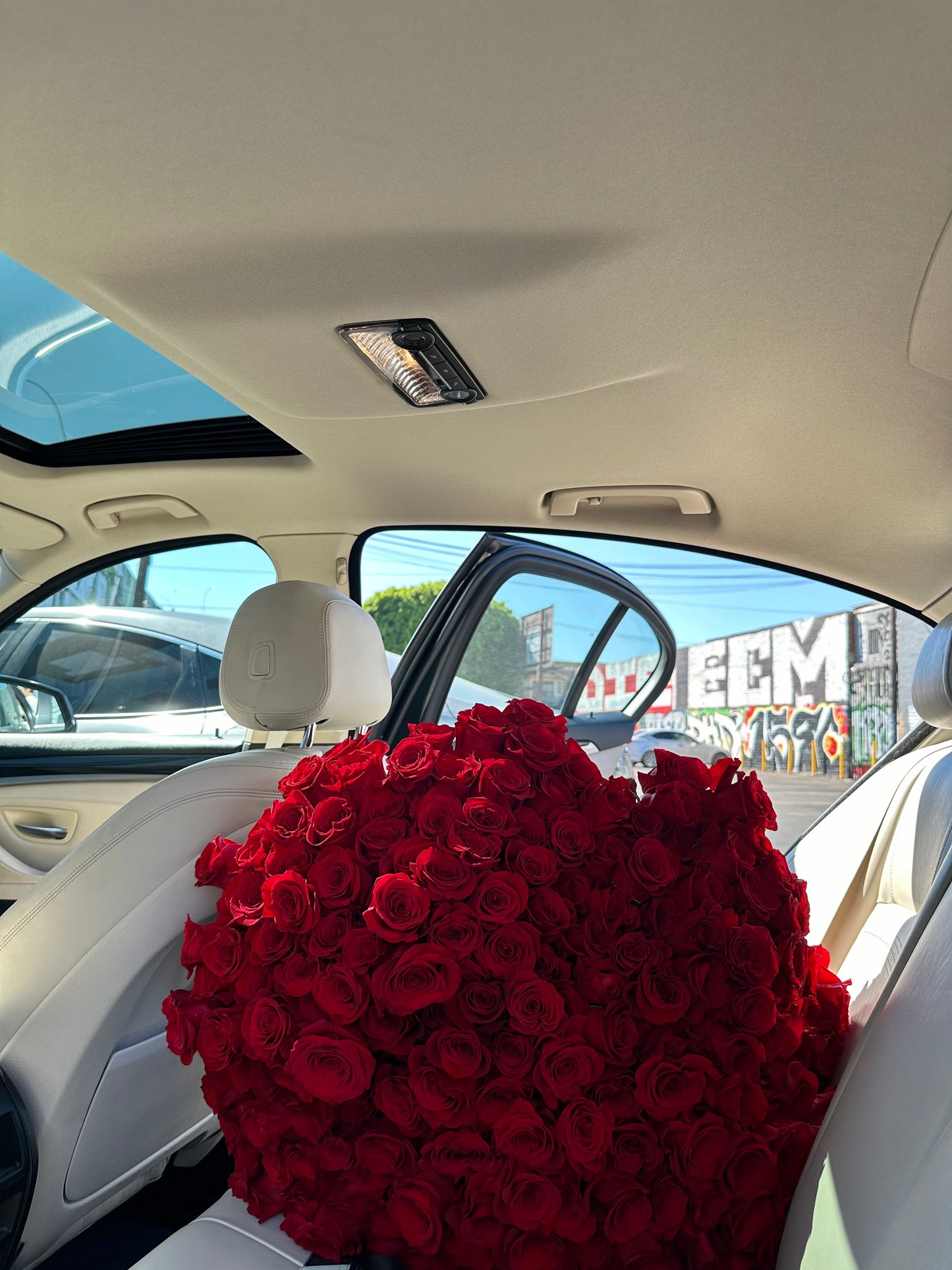 Roses - elite classics (Red, Pink, White, Yellow)