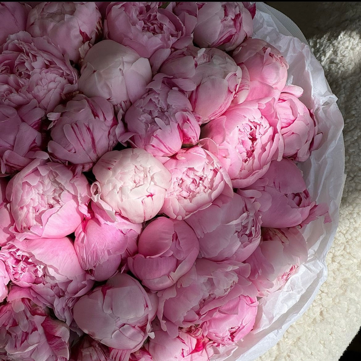 Grand Peony Bouquet - White, Pink, Red, for Luxurious Occasions