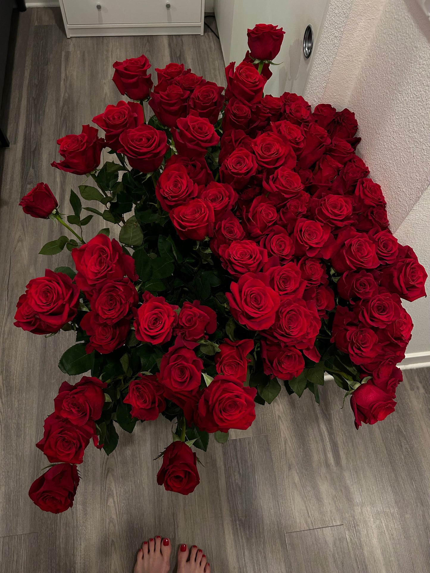 Roses - elite classics (Red, Pink, White, Yellow)